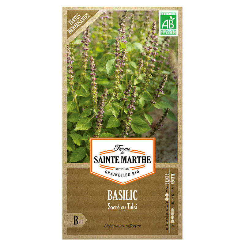 La ferme Sainte Marthe - 200 graines AB - Basilic sacré ou tulsi