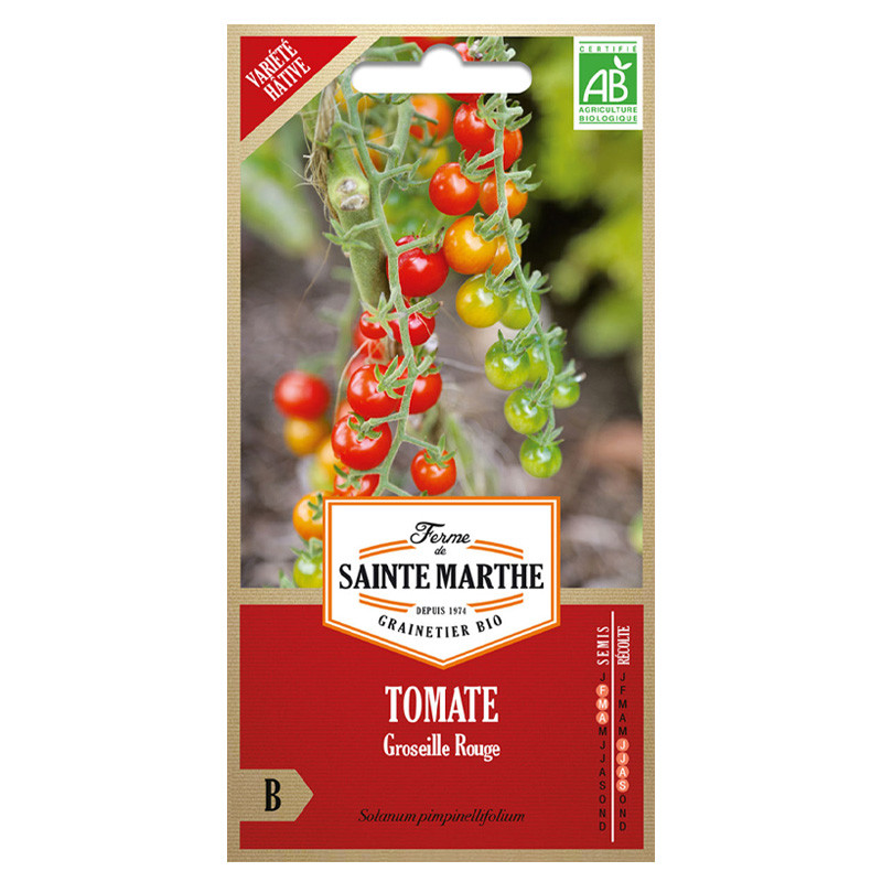 La ferme Sainte Marthe - 50 graines AB - Tomate groseille rouge type petit moineau