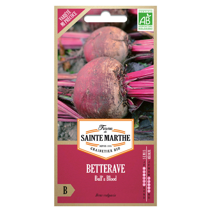 La ferme Sainte Marthe - 150 graines AB - Betterave bull's blood