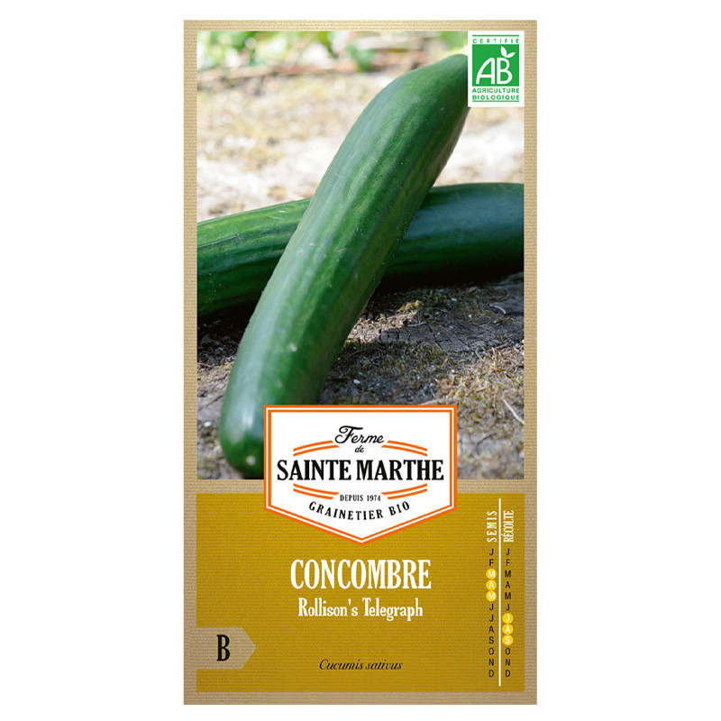 La ferme Sainte Marthe - 20 graines AB - Concombre Rollison's telegraph
