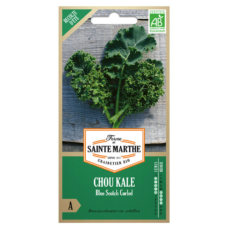 La ferme Sainte Marthe - 200 graines AB - Chou frisé Kale Blue Scotch