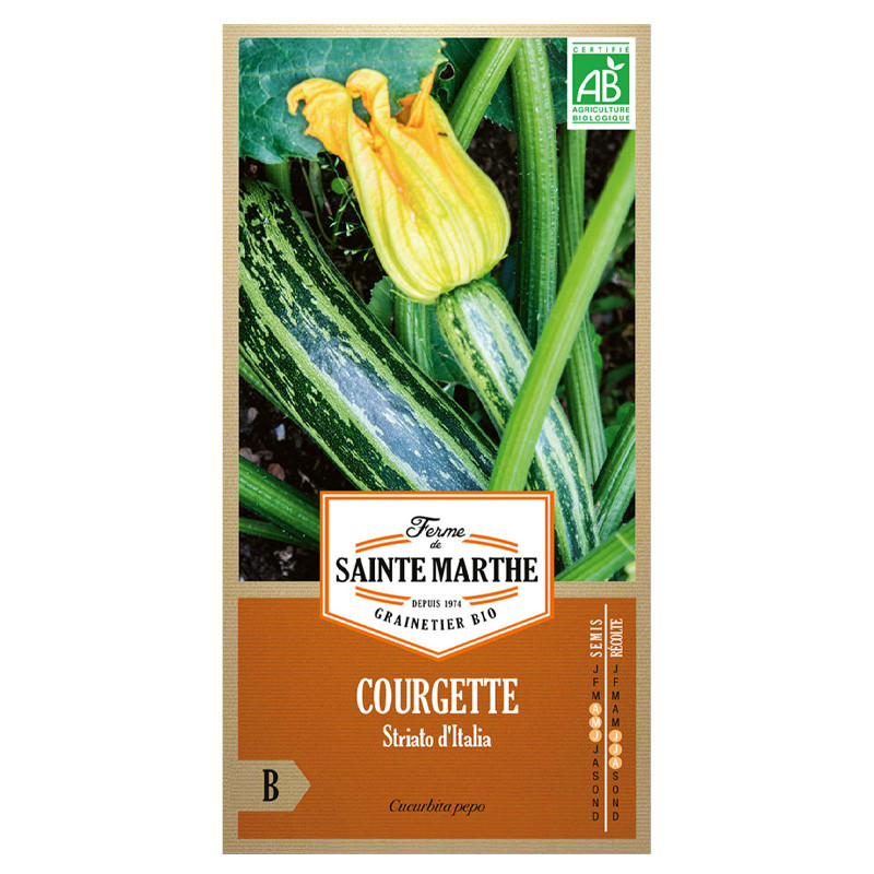 La ferme Sainte Marthe - 15 graines AB - Courgette striato d'italia