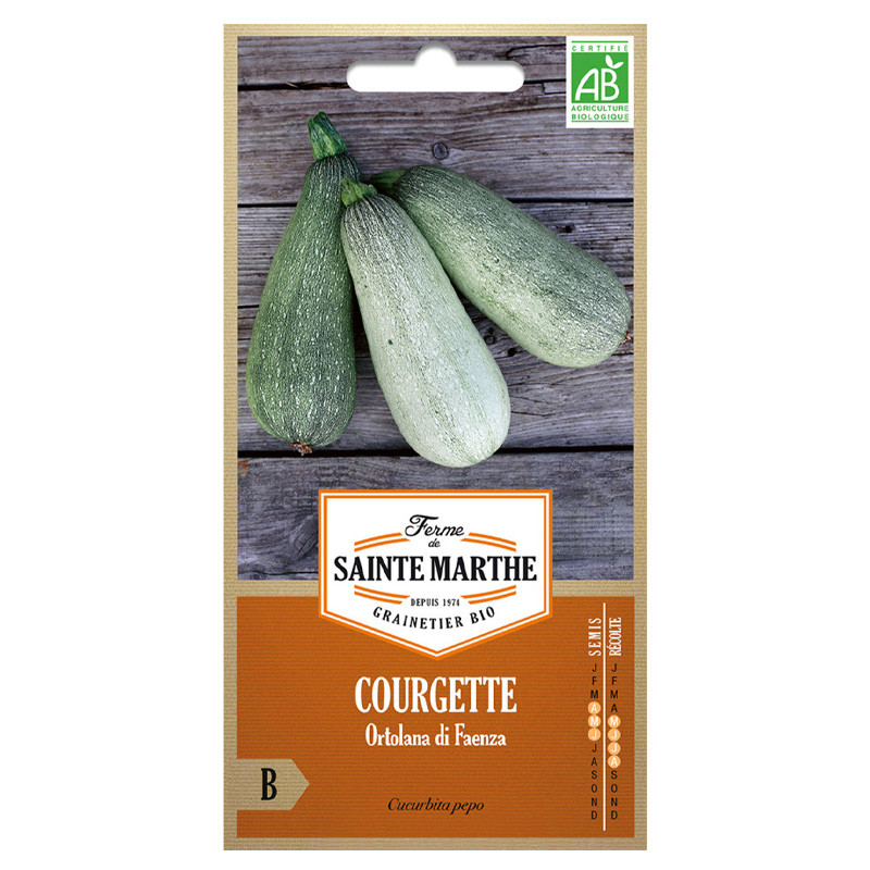La ferme Sainte Marthe - 15 zaden AB - Ortolana Di Faenza courgette