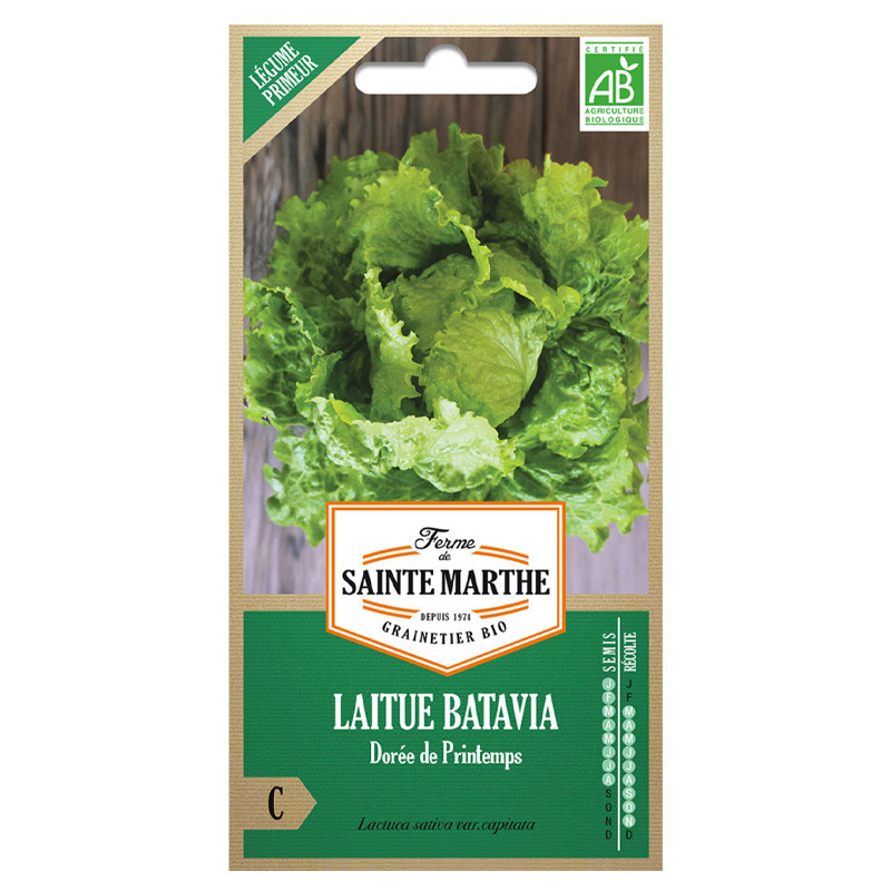 La ferme Sainte Marthe - 500 graines AB - Laitue Batavia Dorée de printemps