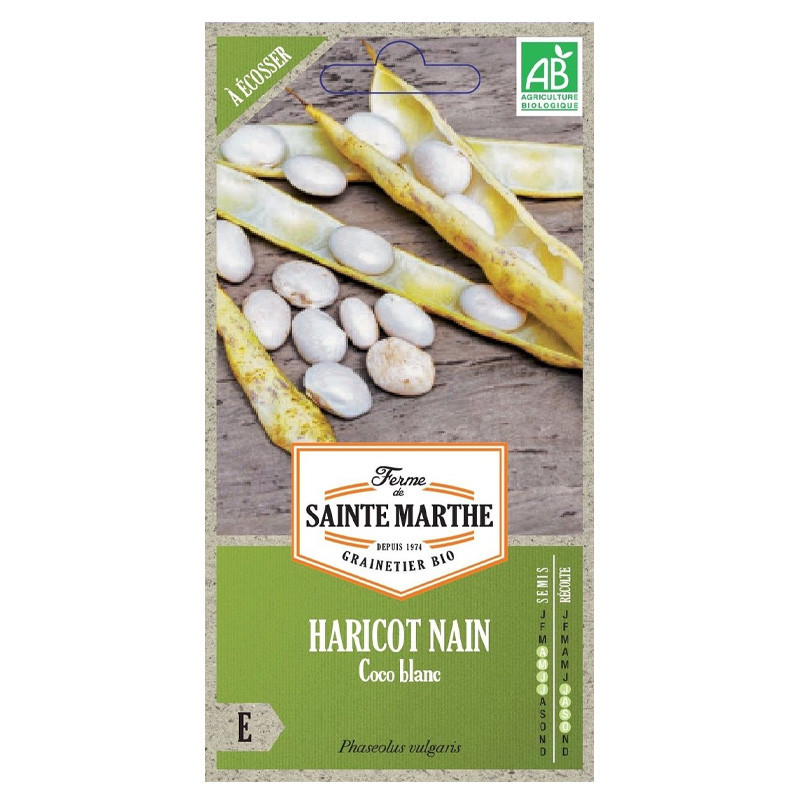 La ferme Sainte Marthe - 140 graines AB - Haricot nain coco blanc précoce à écosser