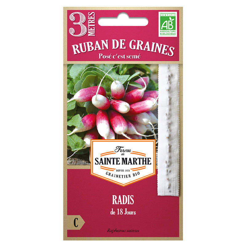 La ferme Sainte Marthe - 150 Samen AB - 18 Tage altes Radieschenband