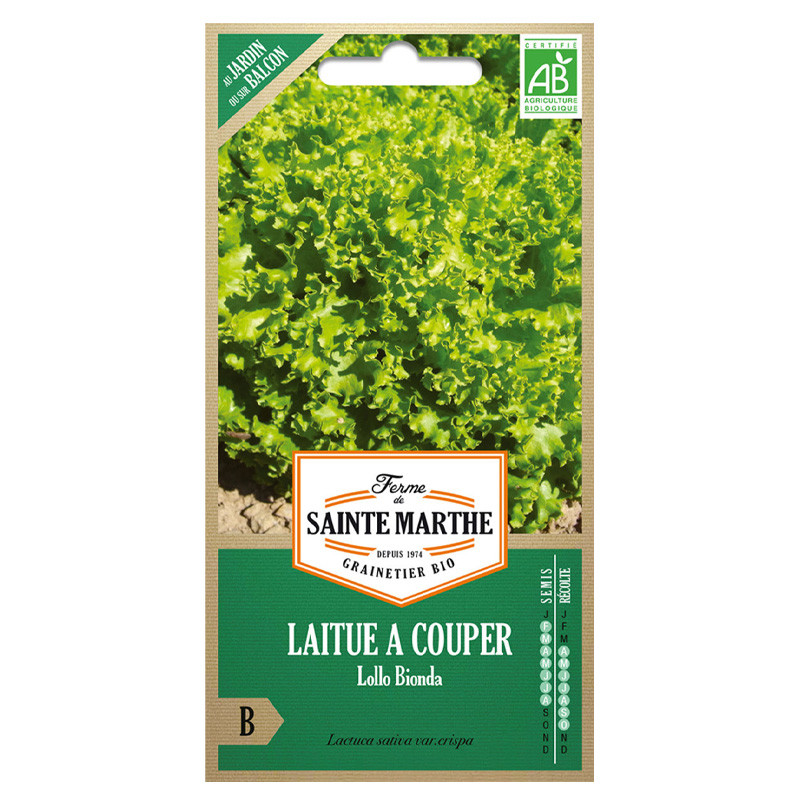La ferme Sainte Marthe - 500 graines AB - Laitue à couper Lollo Bionda