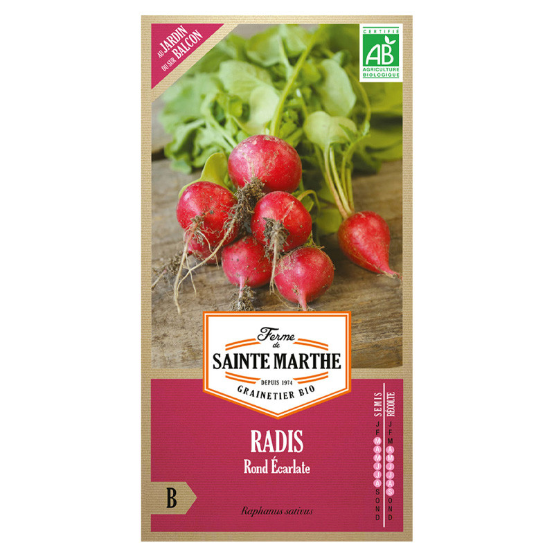La ferme Sainte Marthe - 1000 graines AB - Radis rond écarlate