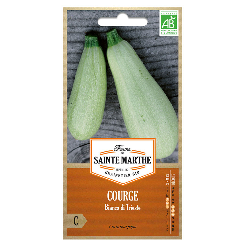 La ferme Sainte Marthe - 15 graines AB - Courgette Bianca di trieste ou (Bianca goriziana)