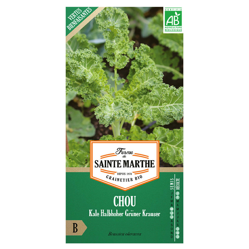 La ferme Sainte Marthe - 200 graines AB - Chou frisé Kale Halbhoher Grüner Krauser