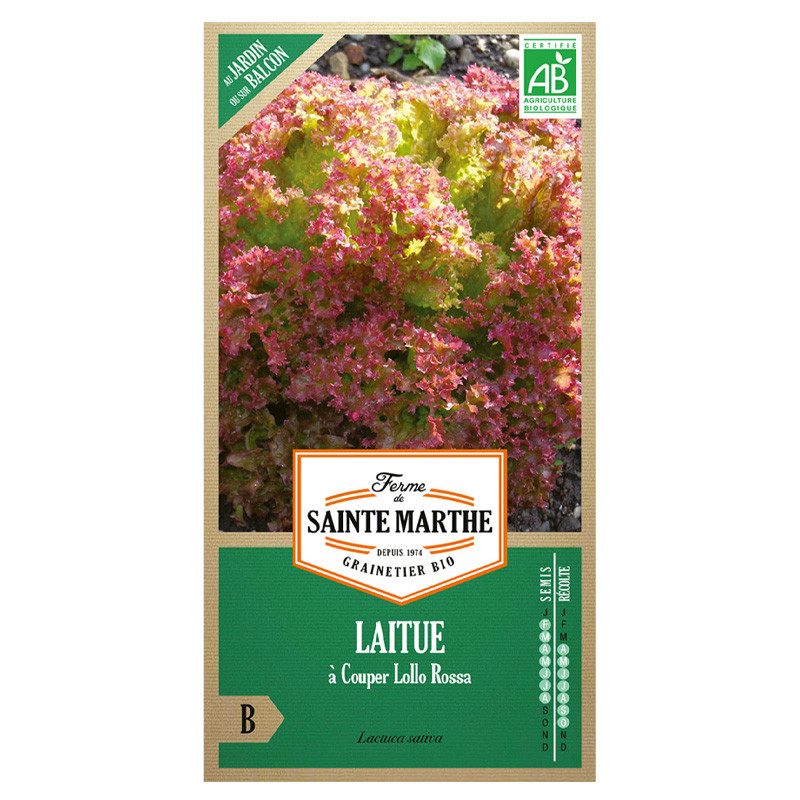 La ferme Sainte Marthe - 500 graines AB - Laitue à couper Lollo Rossa