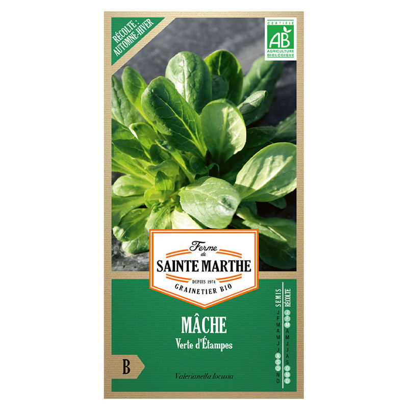 La ferme Sainte Marthe - 500 graines AB - Mâche verte d'Étampes