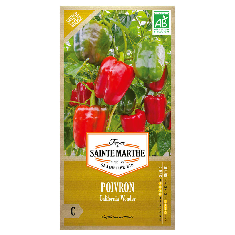 La ferme Sainte Marthe - 30 graines AB - Poivron California Wonder