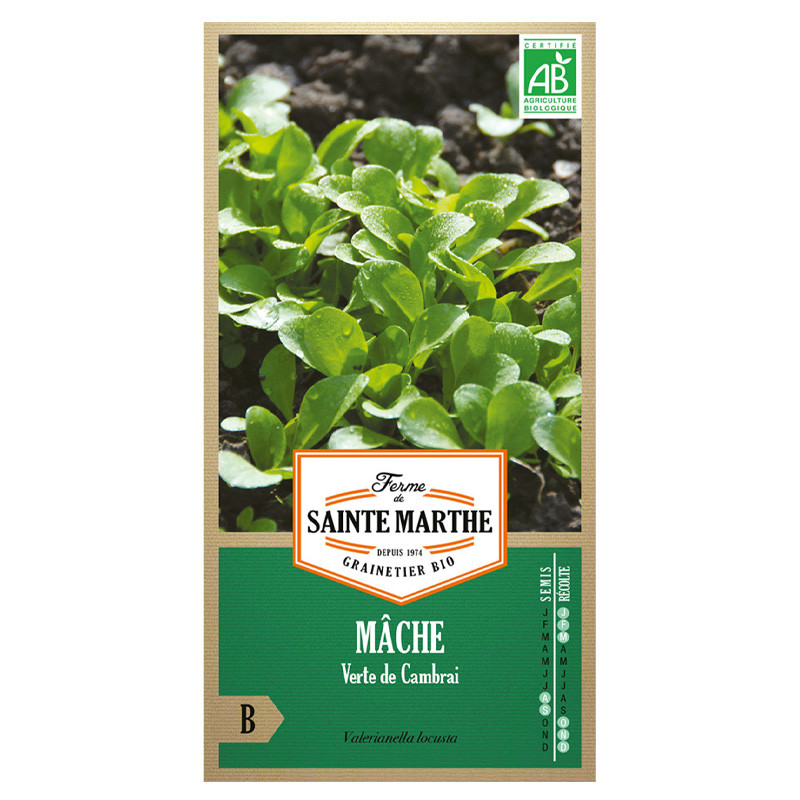 La ferme Sainte Marthe - 500 graines AB - Mâche verte de Cambrai