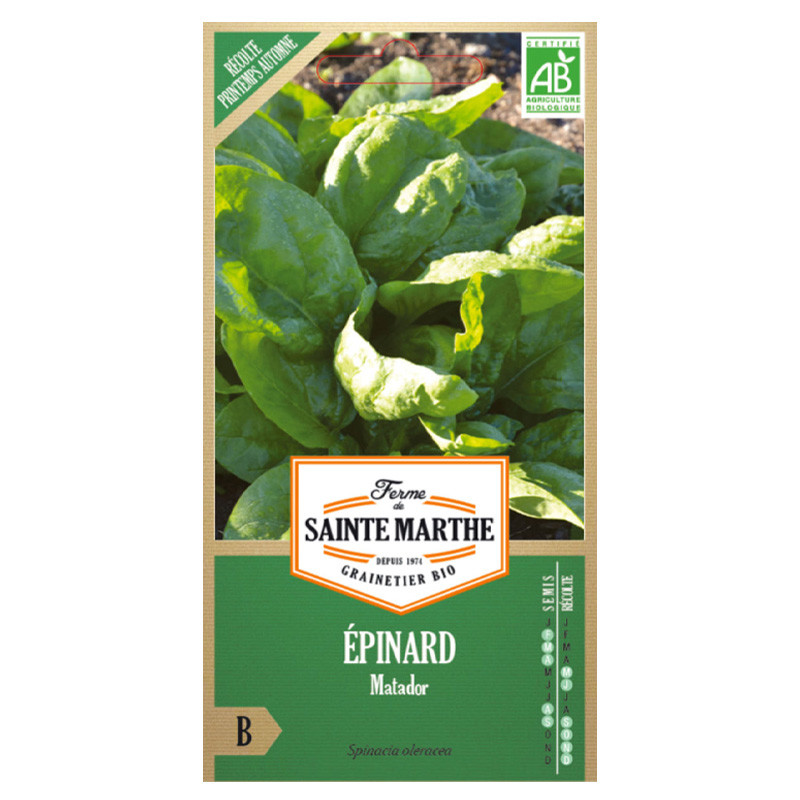 La ferme Sainte Marthe - 500 seeds AB - Spinach Matador