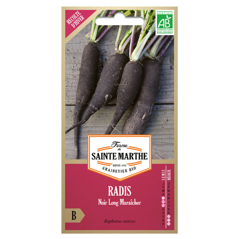 La ferme Sainte Marthe - 500 graines AB - Radis noir long Maraîcher