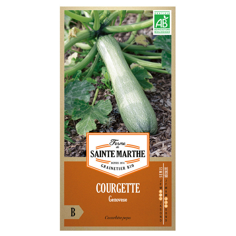 La ferme Sainte Marthe - 15 sementes AB - Aboborinha genovesa