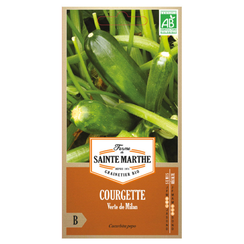 La ferme Sainte Marthe - 15 graines AB - Courgette verte de Milan