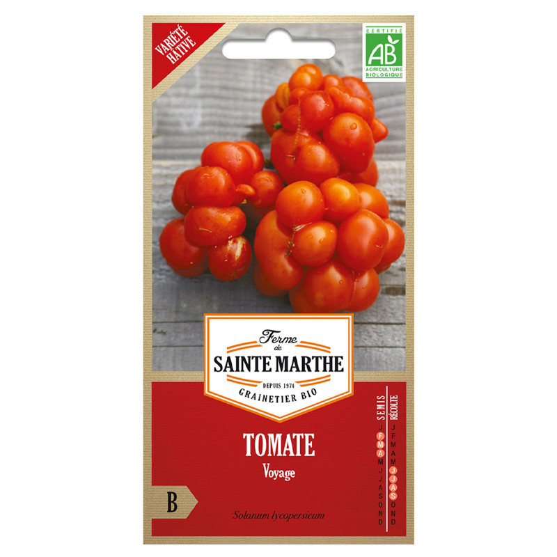 La ferme Sainte Marthe - 50 seeds AB - Tomate Voyage