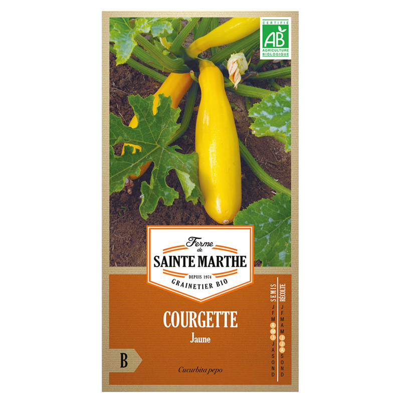 La ferme Sainte Marthe - 15 sementes AB - Aboborinha amarela