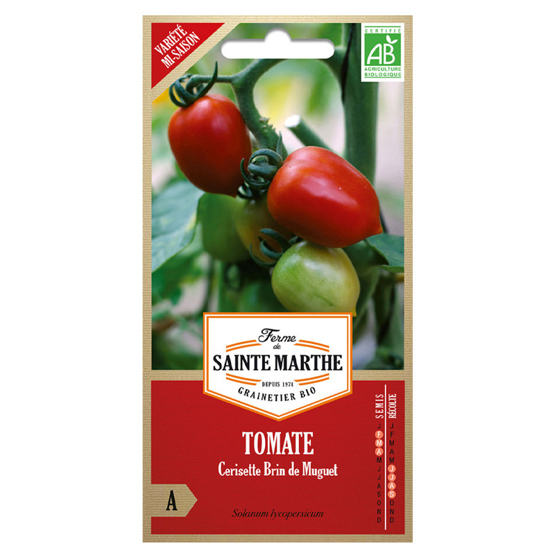 La ferme Sainte Marthe - 50 graines AB - Tomate Cerisette Brin de muguet