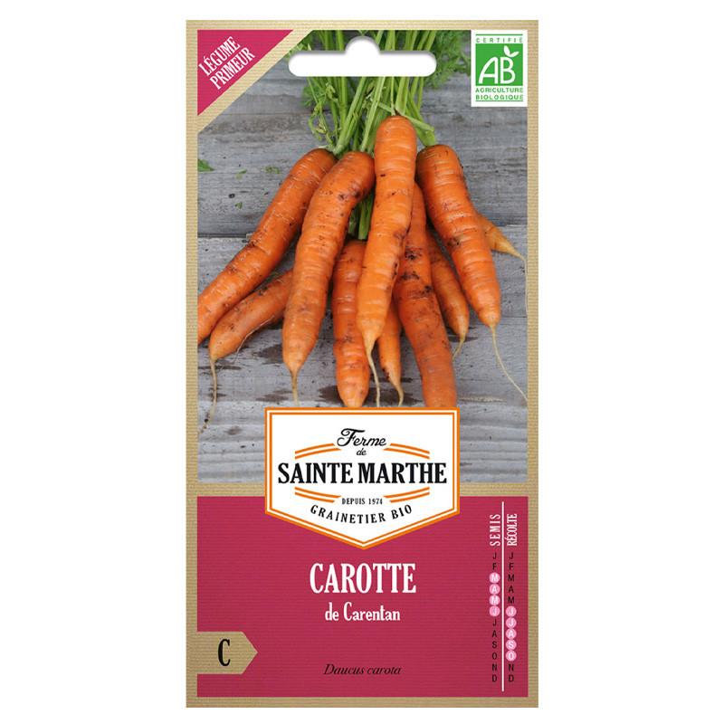 La ferme Sainte Marthe - 1500 semi AB - Carota di Carentan