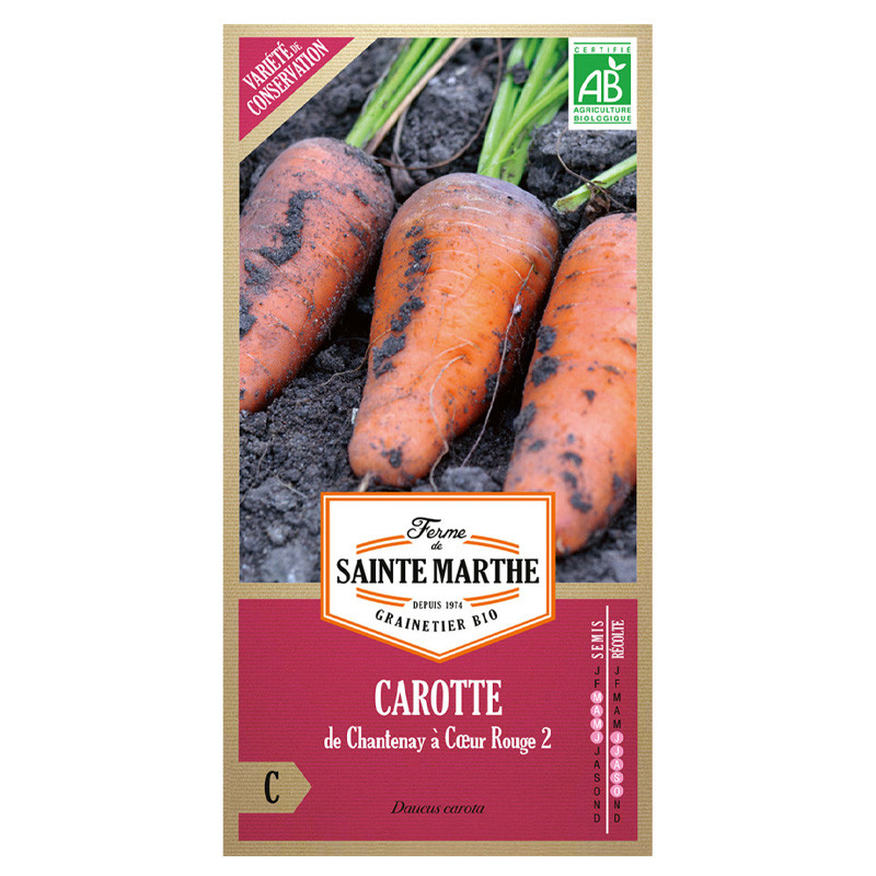 La ferme Sainte Marthe - 1500 graines AB - Carotte Chantenay à coeur rouge 2