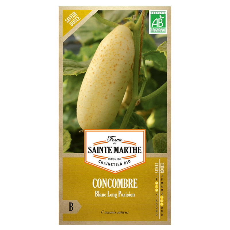 La ferme Sainte Marthe - 20 graines AB - Concombre blanc long parisien