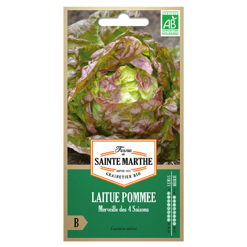 La ferme Sainte Marthe - 500 sementes AB - Alface Merveille des 4 Saisons