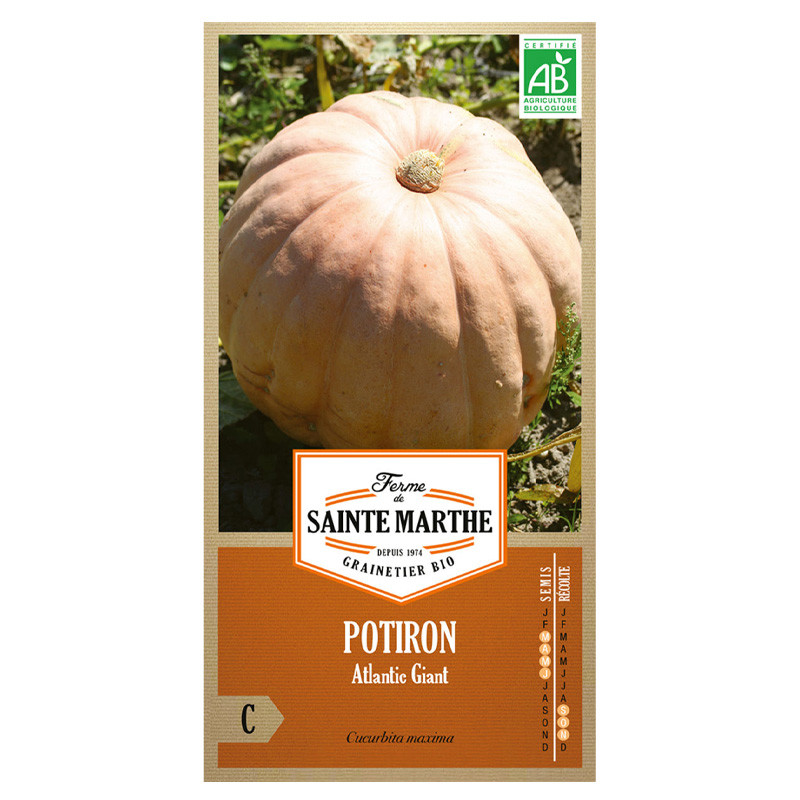 La ferme Sainte Marthe - 15 semi AB - Zucca gigante atlantica