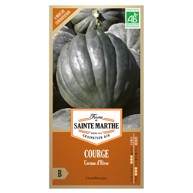 La ferme Sainte Marthe - 15 semillas AB - Calabaza o pepino de invierno