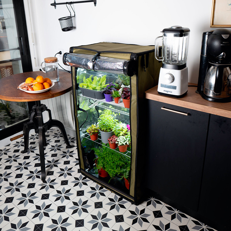 Secret Jardin - The Original 60 - Caixa de cultivo totalmente equipada