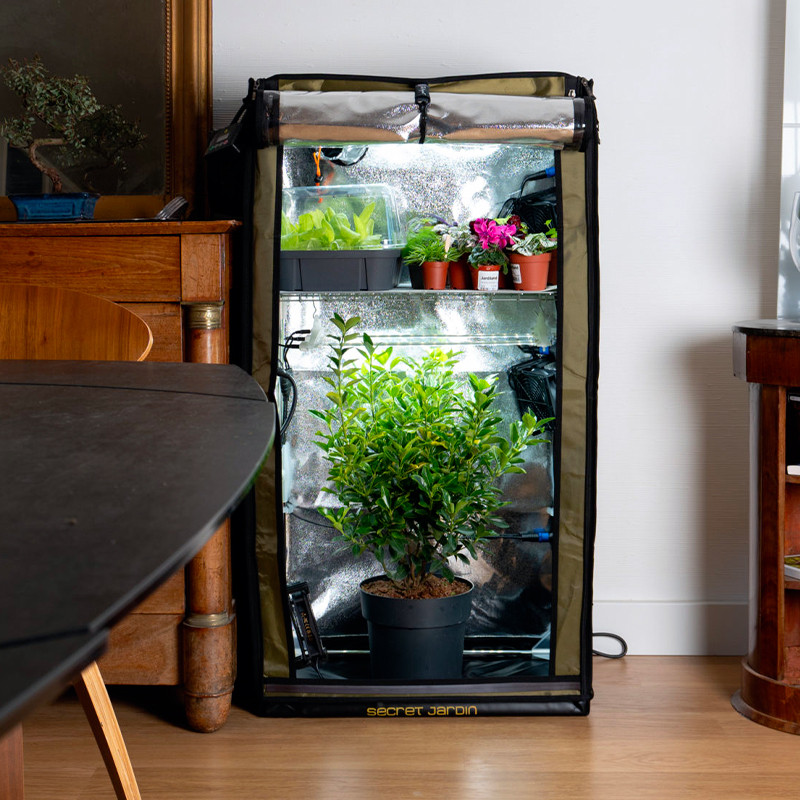 Secret Jardin - The Original 60 - Voll ausgestattete Growbox
