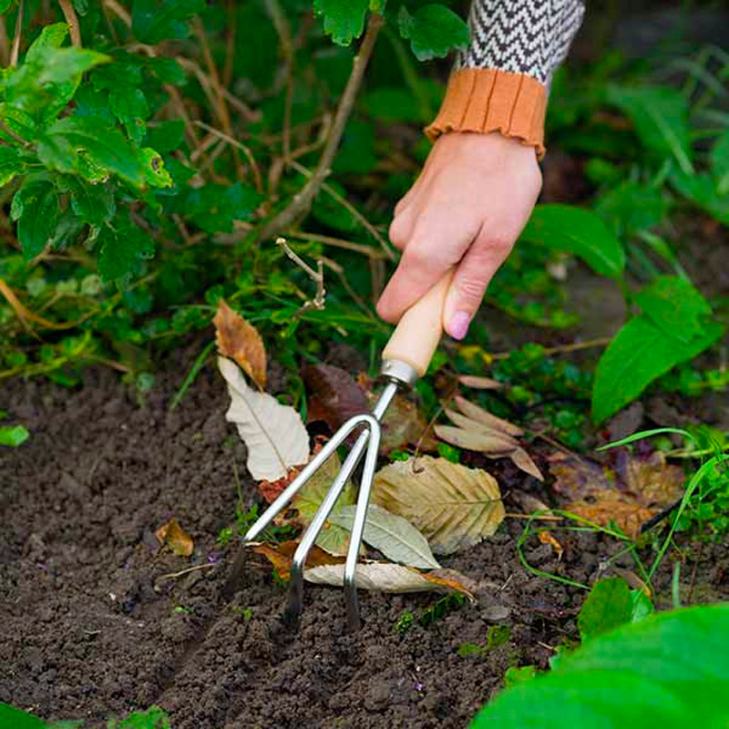 Nature - Handkralle 3 Zähne - Edelstahl und Holz