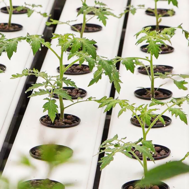Terra Aquatica GHE Growstream 40 V2 - Aërocultuursysteem