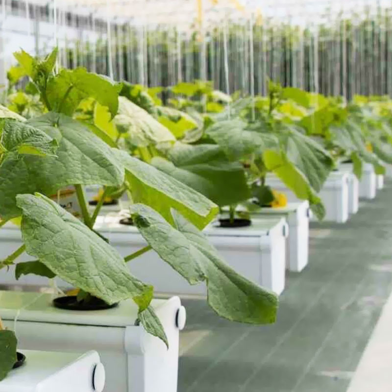 Terra Aquatica GHE Growstream 80 V2