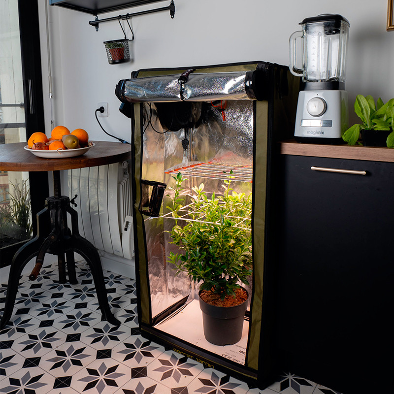 Secret Jardin - Per Twenty 100 - Box di coltivazione completamente attrezzato