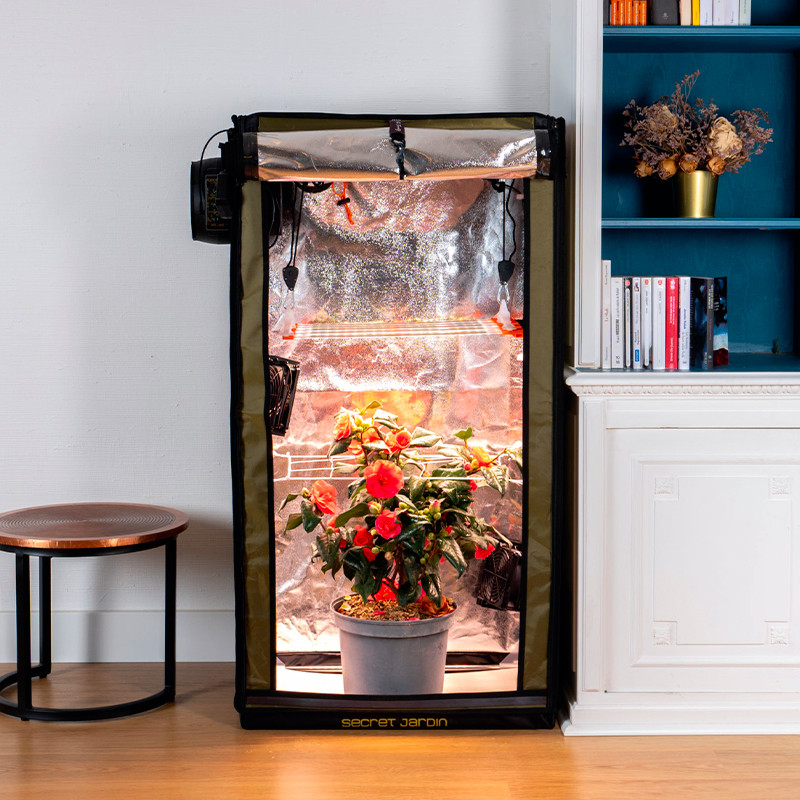 Secret Jardin - For Twenty 100 - Voll ausgestattete Growbox