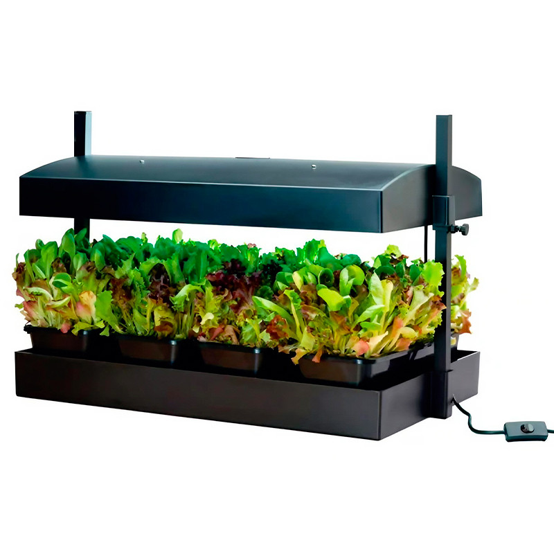 Garland - Mini jardin avec rampes led 2x16W - noir