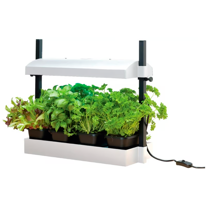 Garland - Micro jardin avec rampes led 8W - blanc