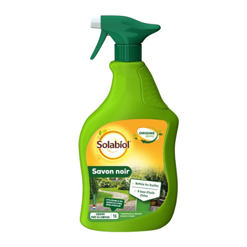 BLACK SOAP - PAE 1 L SOL