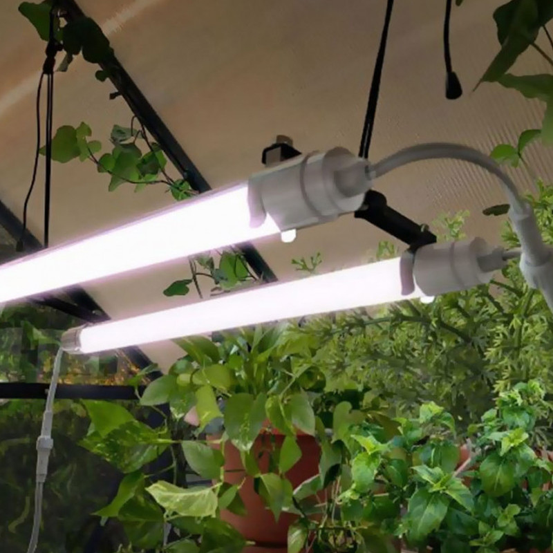 Canopia - Lâmpada de crescimento LED UE - Brighton