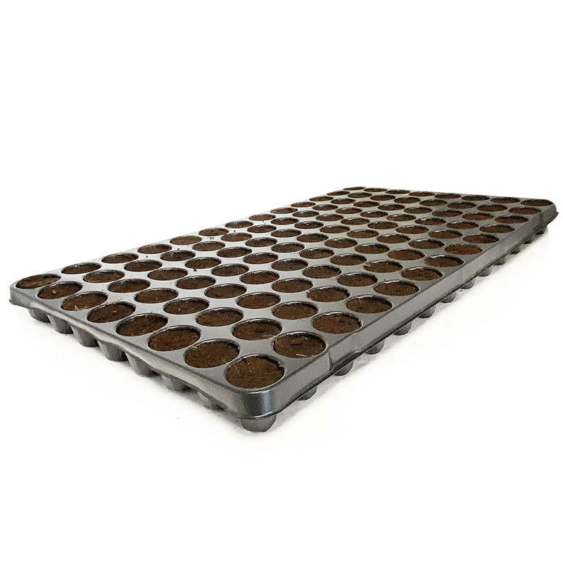 Platinium - X-PLUG 104 cubos Germinação - Brotação