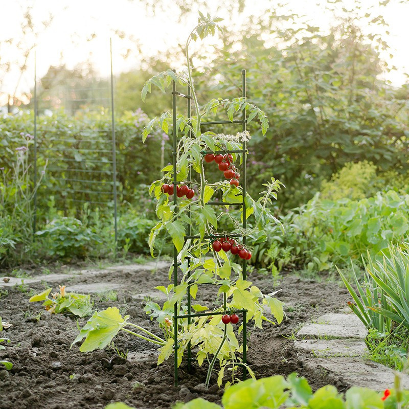 3 tutores para tomates, triángulo, acero plastificado, verde, 12 brazos, H150 x Ø11mm