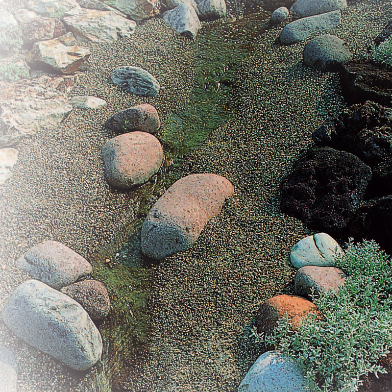 Ubbink - Classic Fix Grafiet 0.6x5m - Landscaping