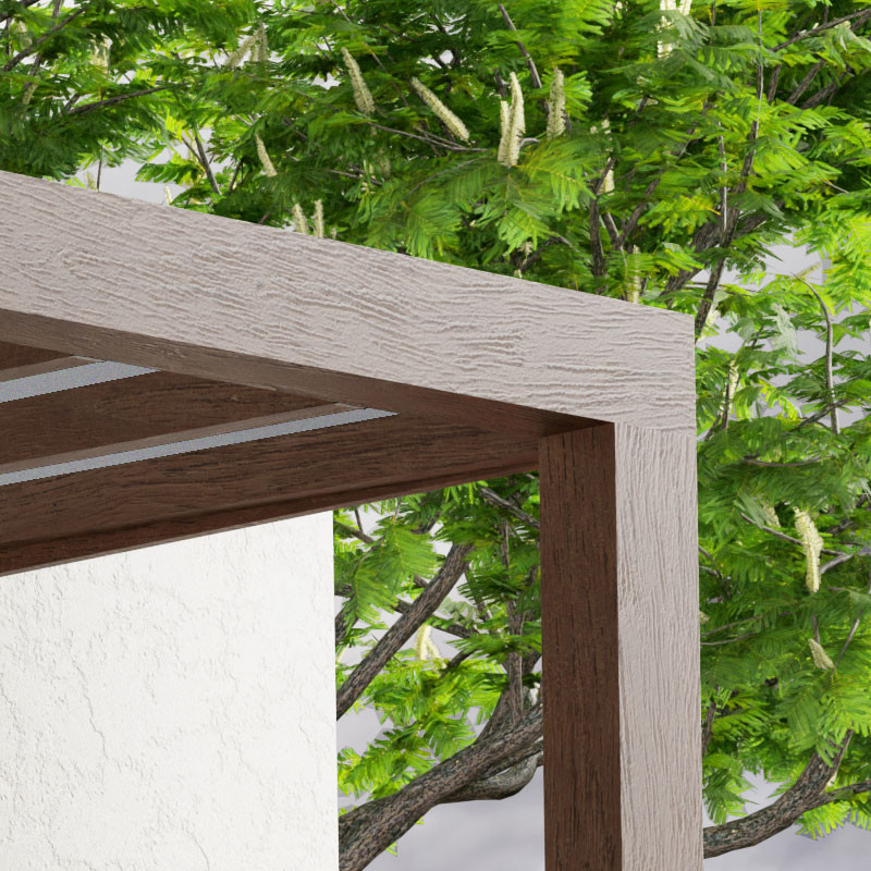 Canopia - Pergola - Helsinki Controllo solare - 3x8,6m - Legno di cedro
