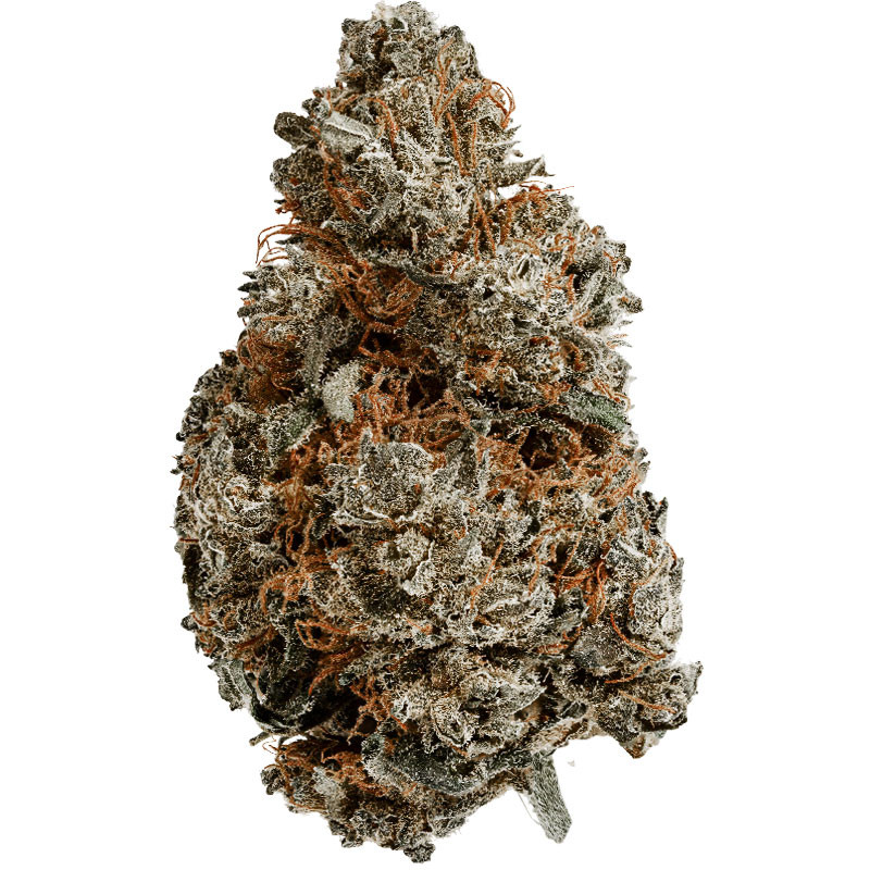 Platinium CBD - Blackberry - Indoor - Fleurs de chanvre