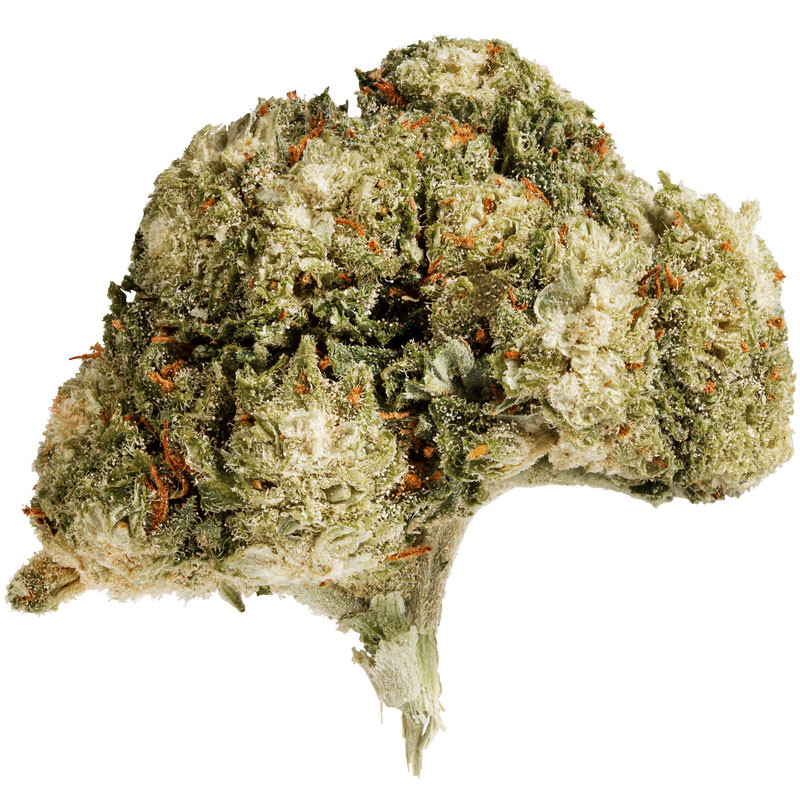 Platinium CBD - Monster Kush - Indoor - Fleurs de chanvre