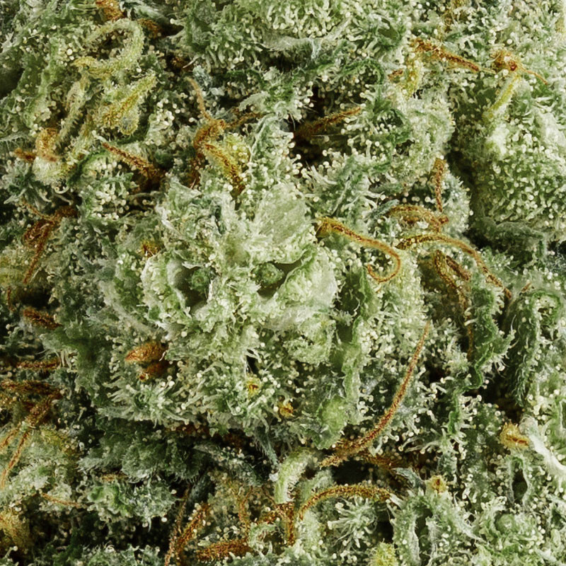 Blue Dream - CBD Flower for Relaxation