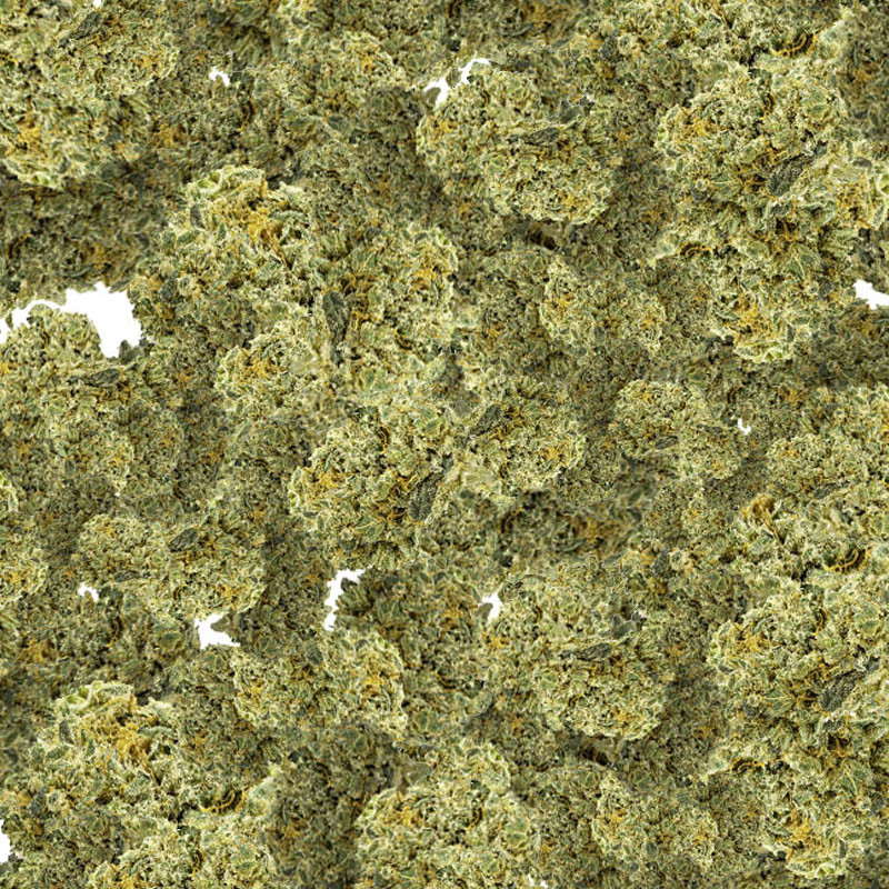 Platinium CBD - Amnesia - Small Bud - Indoor - Fleurs de chanvre